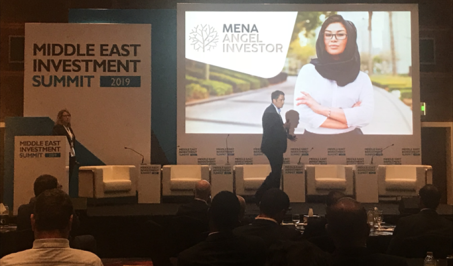 Middle East Startup Fund